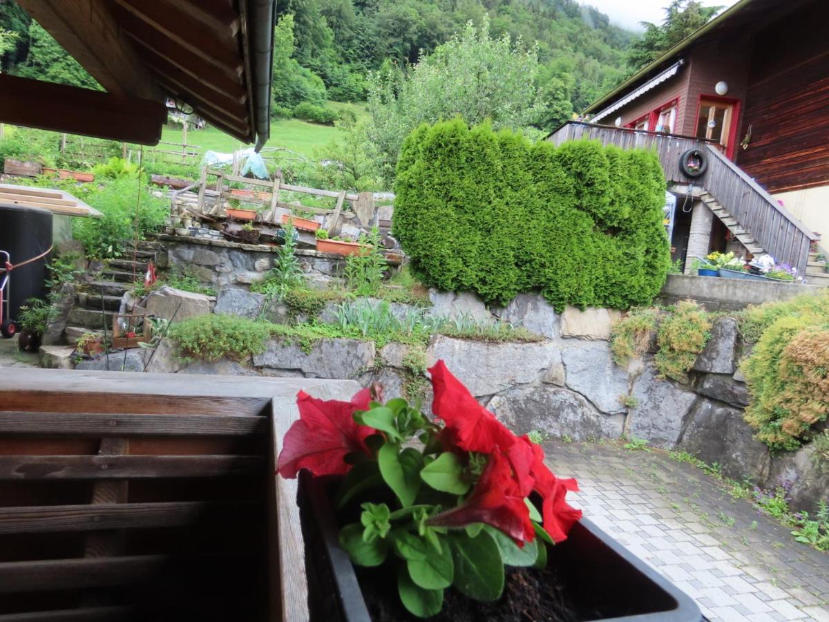 Holzhaus Bei Interlaken リングゲンベルク エクステリア 写真